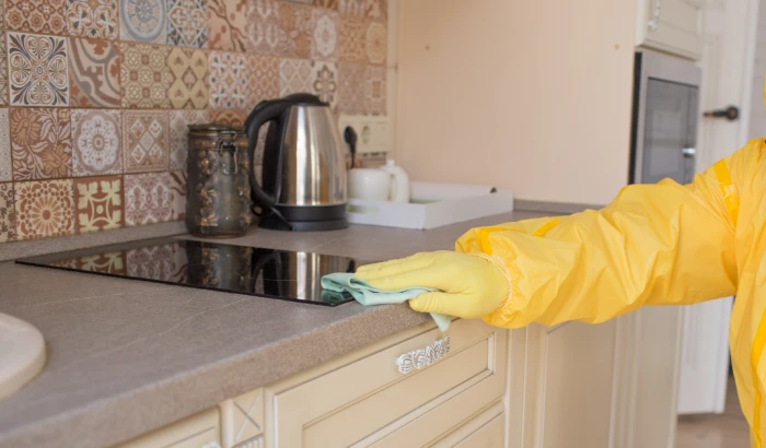 experienced cleaners ensuring hygiene in kitchen and bathroom