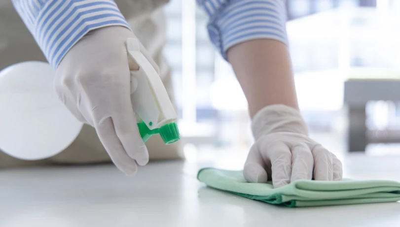 experienced cleaners ensuring hygiene in kitchen and bathroom